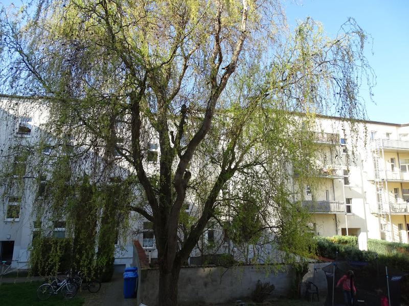 Eigentumswohnung Magdeburg (21) Wohnung Magdeburg