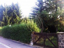 Eingang Uriges Wohngrundst�ck in gepflegter Altbestand Siedlung