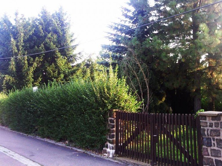 Eingang Leipzig - Wiederitzsch Wohngrundst�ck Uriges Wohngrundst�ck in gepflegter Altbestand Siedlung