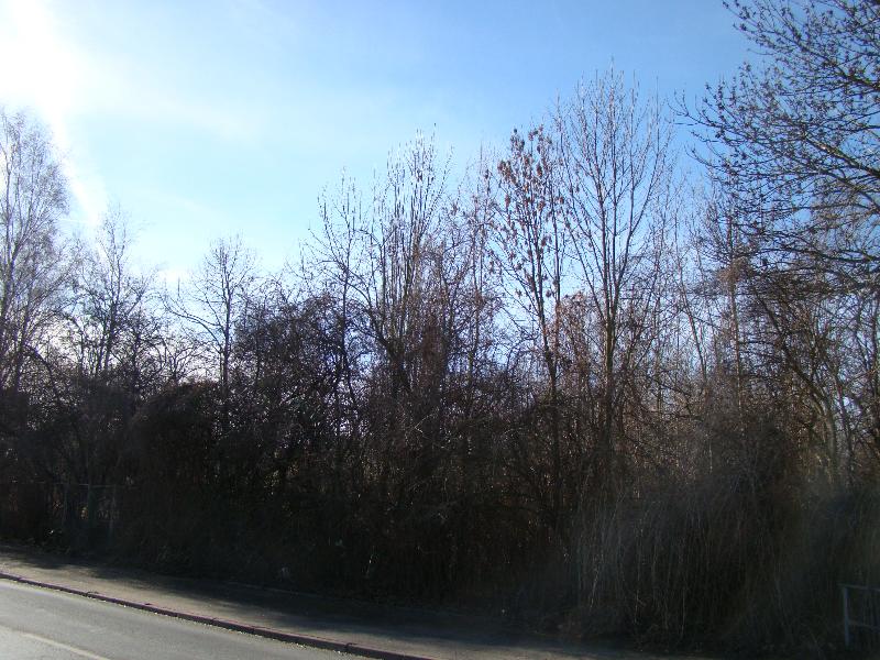 Ansicht Wohngrundst�ck Leipzig