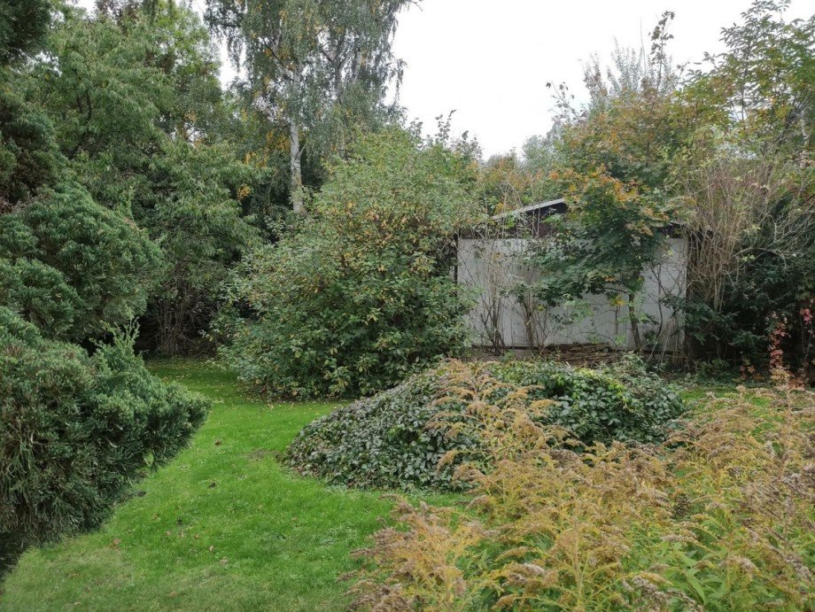 Ansicht Wohngrundst�ck Grimma
