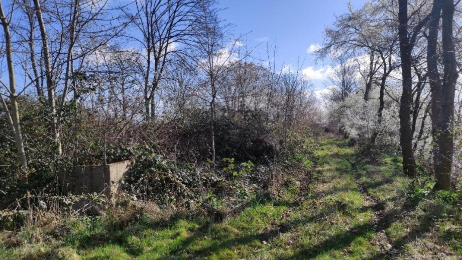 Ansicht Grundst�ck Machern