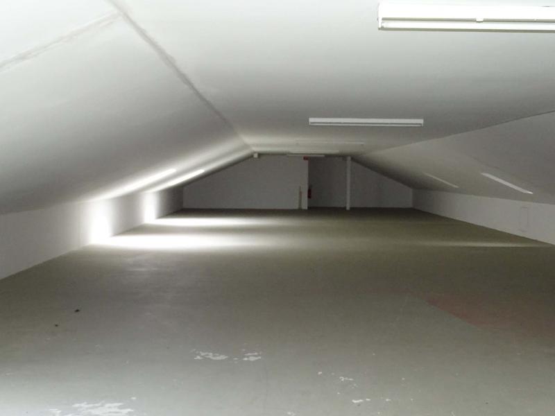 Ansicht Halle Grimma