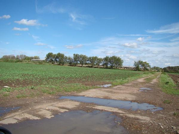Feldweg Leuna - Kreypau Land- / Forstwirtschaft - Grdst. Landwirtschaftliche Fl�che zu verkaufen