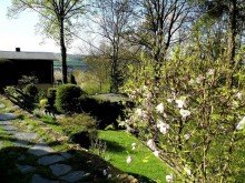 Garten vor dem Haus Gepflegtes Einfamilienhaus in bevorzugter Lage von Chemnitz