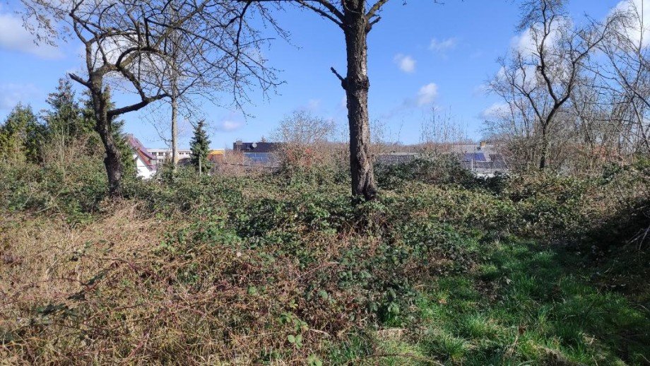 Ansicht Grundst�ck Machern