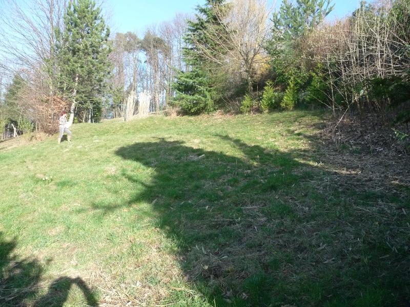 Ansicht Wohngrundst�ck B�hl