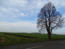 Ansicht Attraktives Wohngrundst�cke am Rande von Landsberg