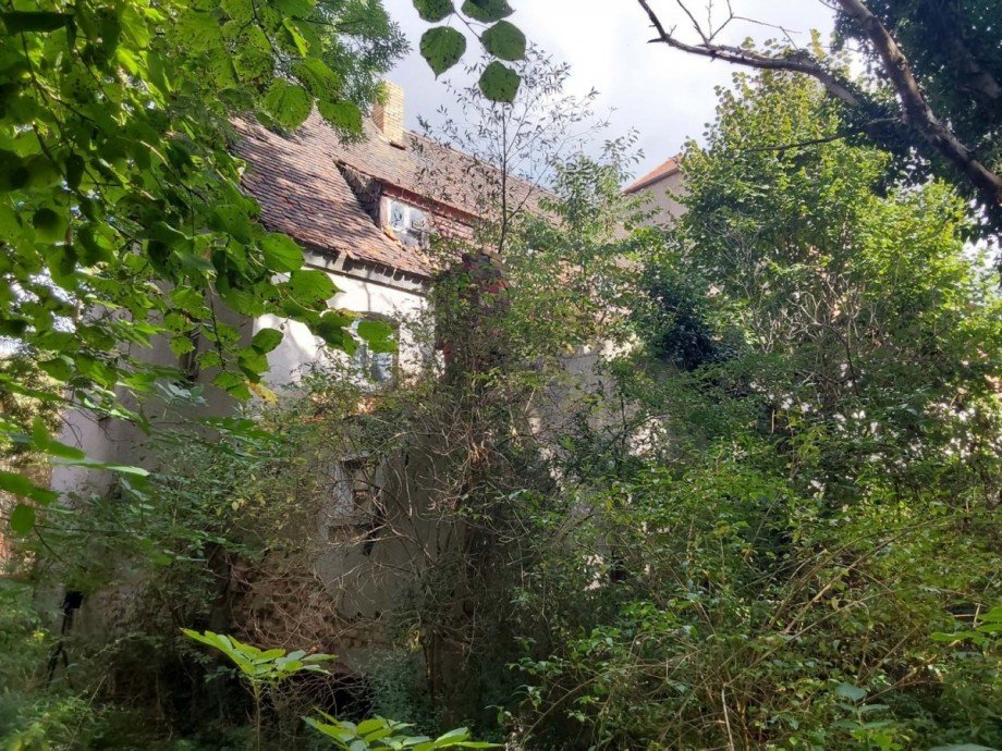 Historische-Wassermuhle-von-Franz-Stockchen-direkt-am-Rippach (9) Landhaus L�tzen