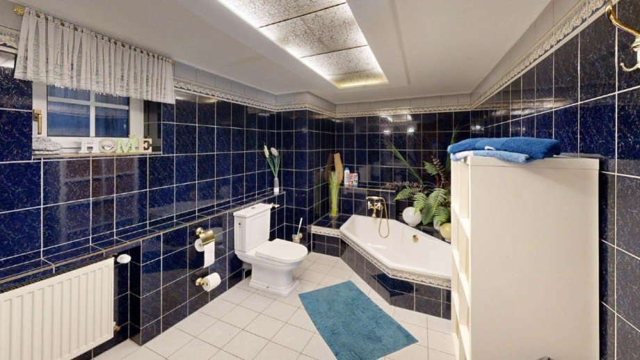 haus-mieten-borna (89) Einfamilienhaus Borna