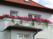 Ansicht Ansicht Kleines Juwel der 30er Jahre -Ruhe und Idylle in Leipzig-Liebertwolkwitz