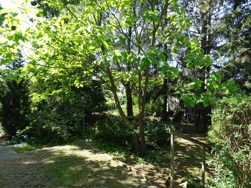 Ansicht Wohngrundst�ck Strausberg