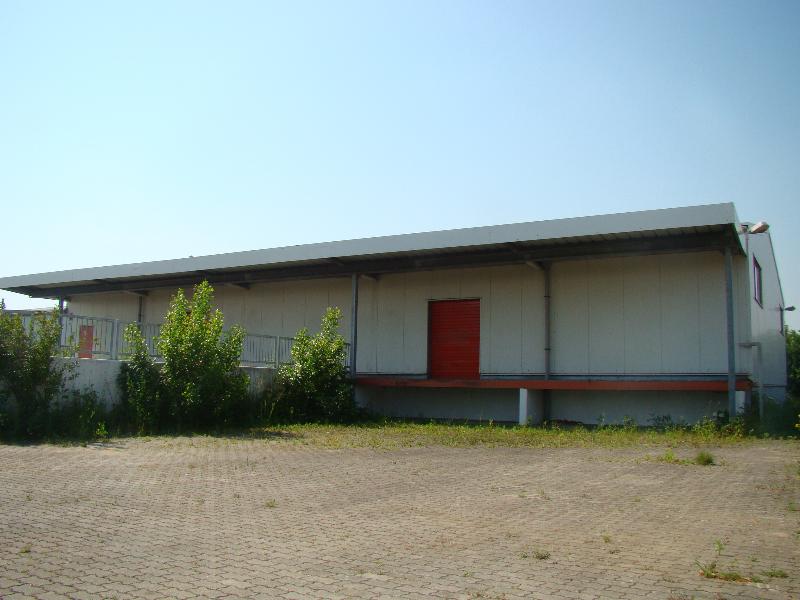 lagerhalle Halle Pei�en