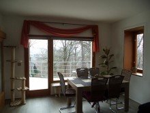 Wohnzimmer und Panoramafenster Gepflegtes Einfamilienhaus in bevorzugter Lage von Chemnitz