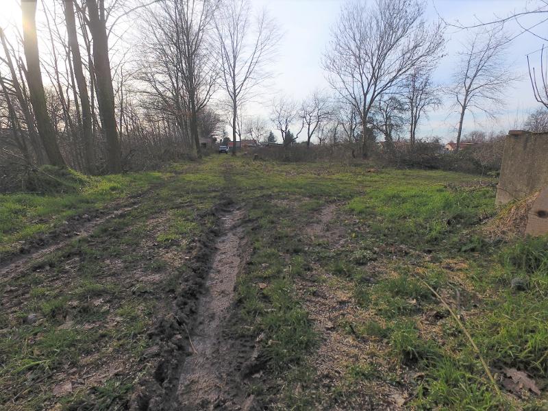 Ansicht Grundst�ck Machern