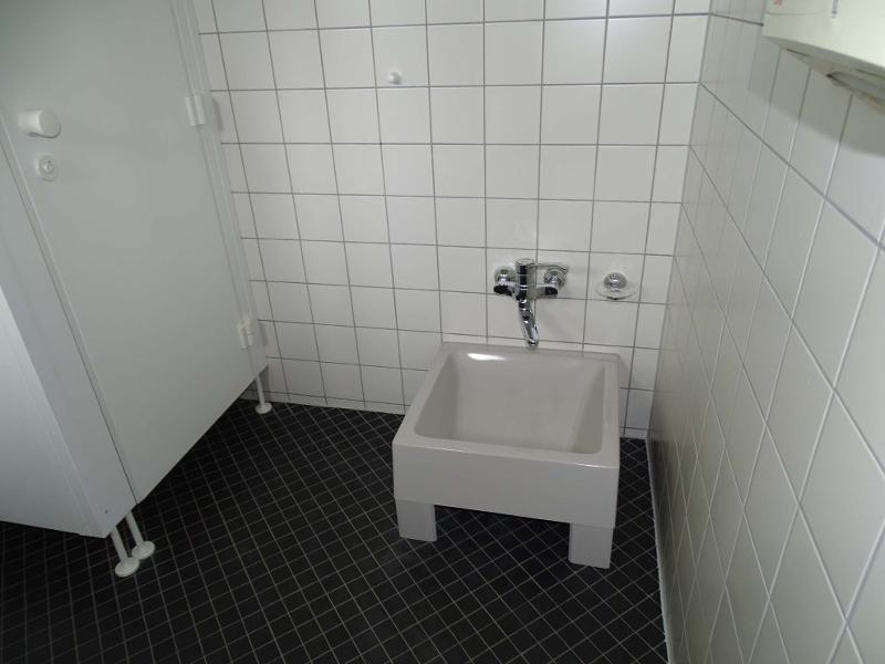 Ansicht Halle Grimma
