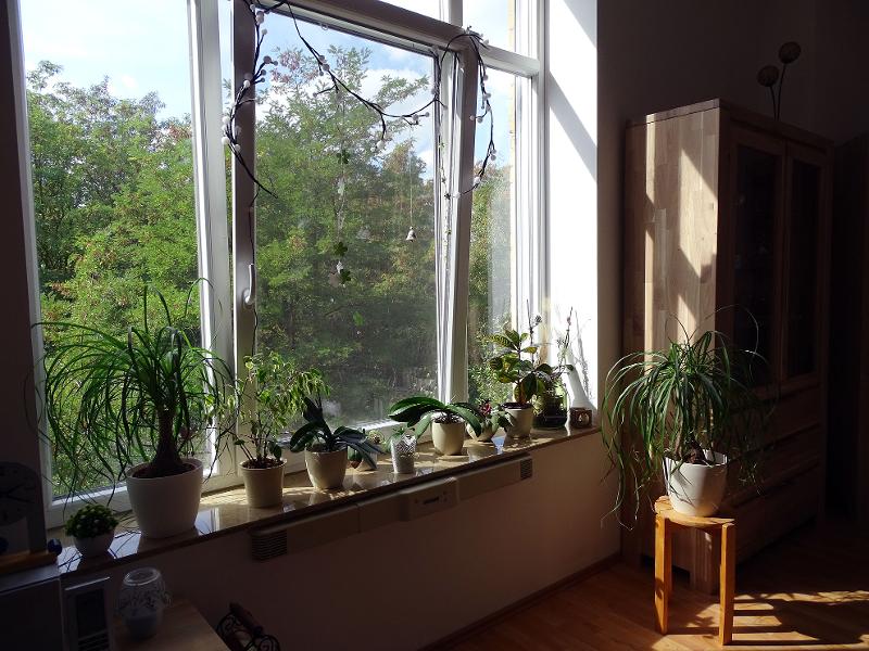Ansicht Wohnung Borna