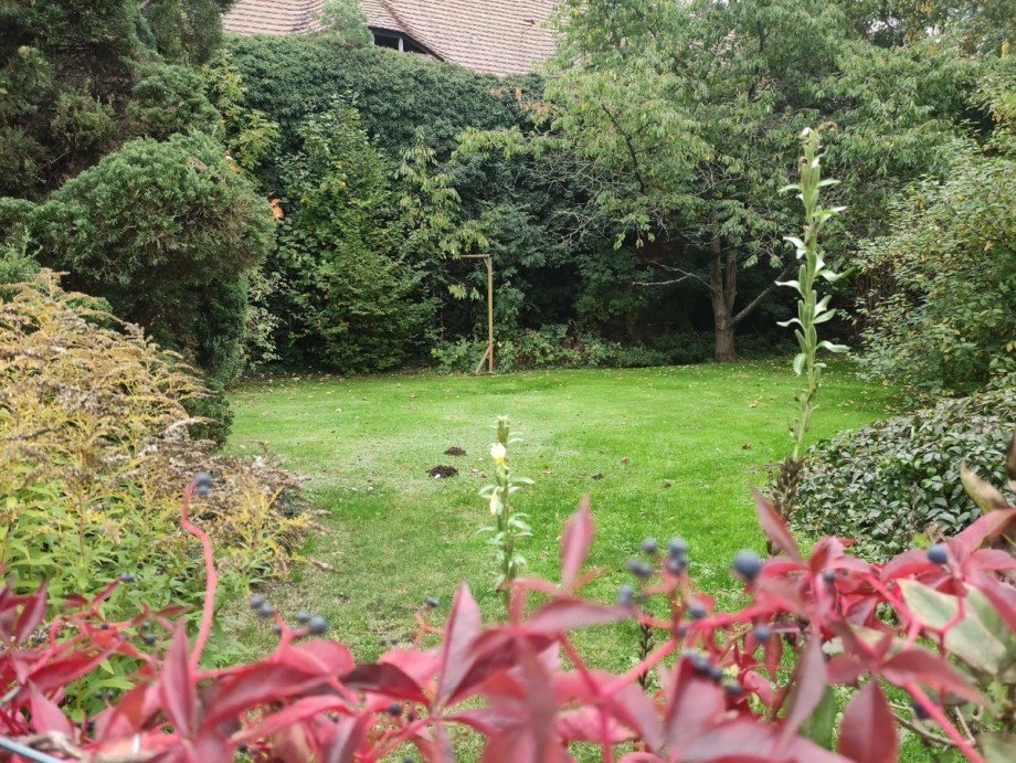 Ansicht Wohngrundst�ck Grimma