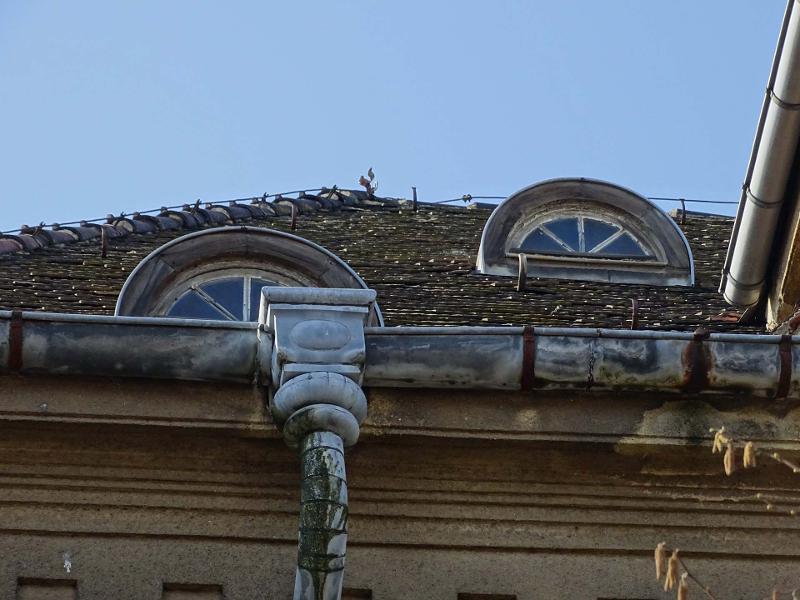 Haus kaufen Villa Leisnig