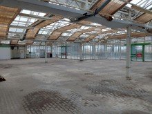 20260224_141541 lichtdurchflutete Verkaufsfl�che im Fachmarktzentrum Selders in Delitzsch zu vermieten.