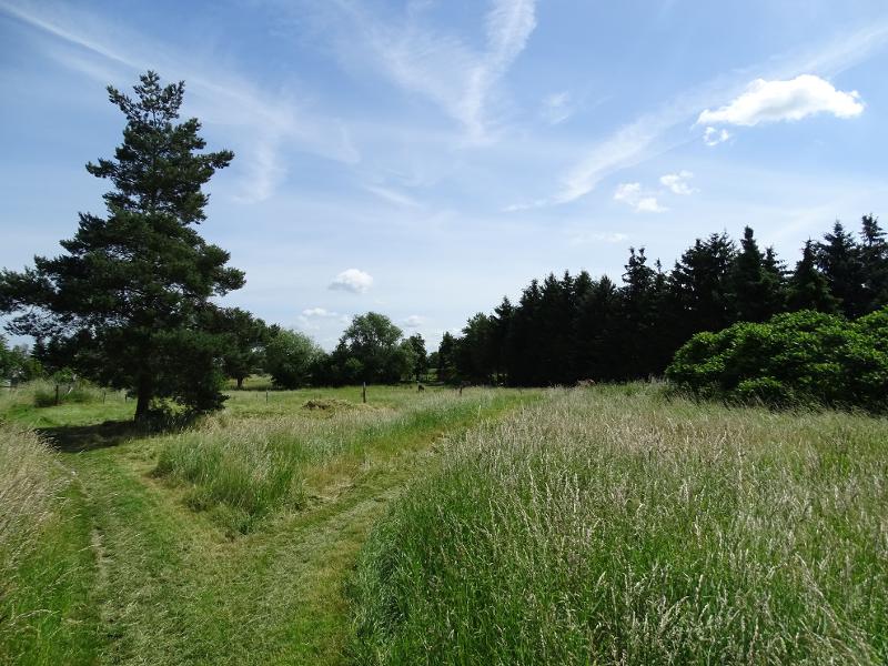 Grundst�ck Wohngrundst�ck Grimma