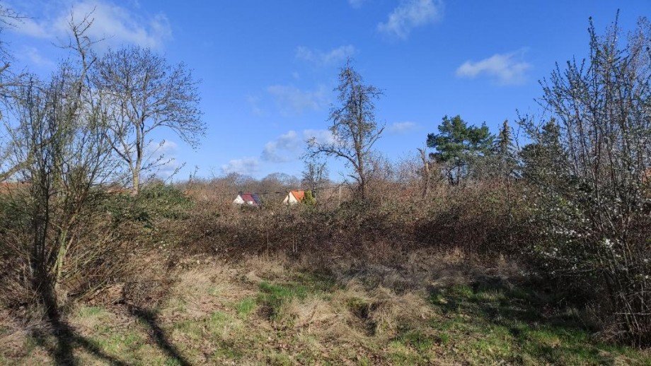 Ansicht Grundst�ck Machern