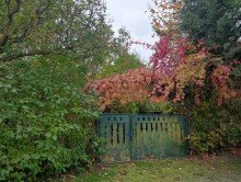 Ansicht Einfamilienhausgrundst�ck in gr�ner Lage in Grimma OT B�hlen
