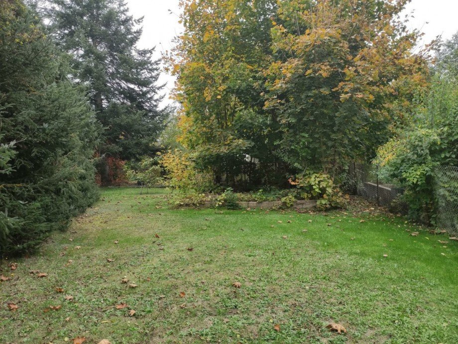 Ansicht Wohngrundst�ck Grimma
