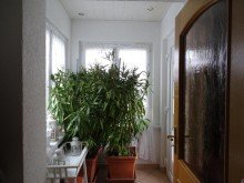 Ansicht Ansicht Kleines Juwel der 30er Jahre -Ruhe und Idylle in Leipzig-Liebertwolkwitz