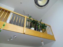 Ansicht Ansicht Großzügige Loft Wohnung in herrlich grüner Idylle mit Dachterrasse