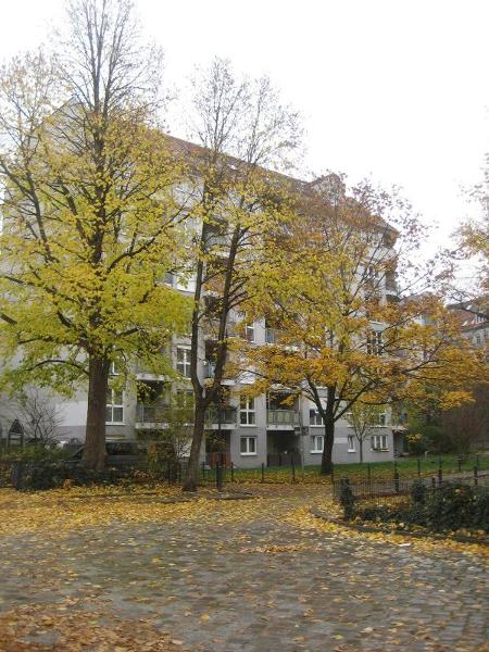 Ansicht Wohnung Berlin