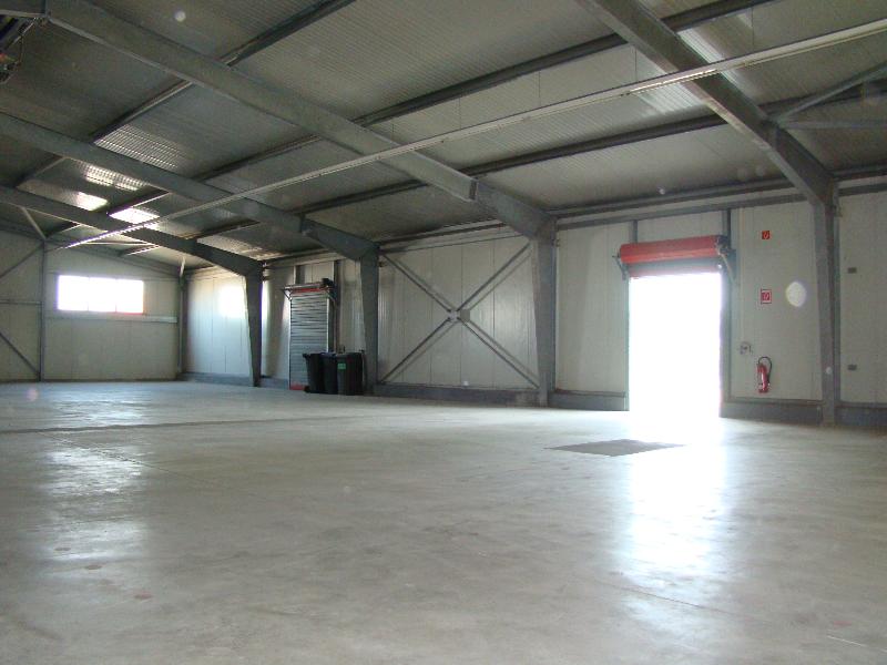 lagerhalle Halle Pei�en