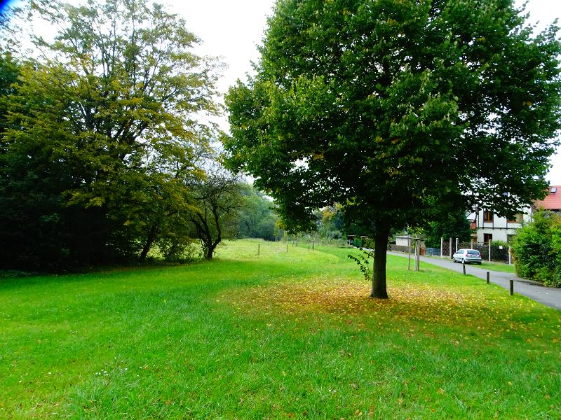 gegen�berliegende Gr�nanlage Wohngrundst�ck Leipzig