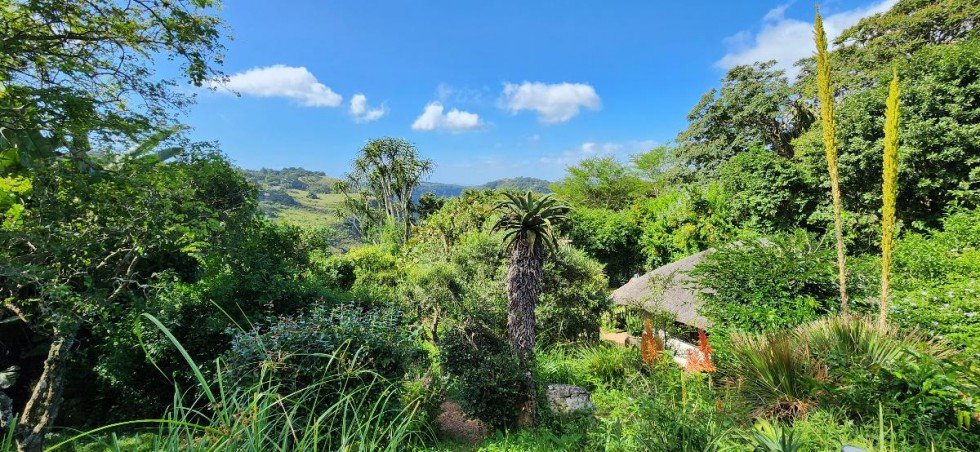 haus_kaufen_s�dafrika Haus Kloof
