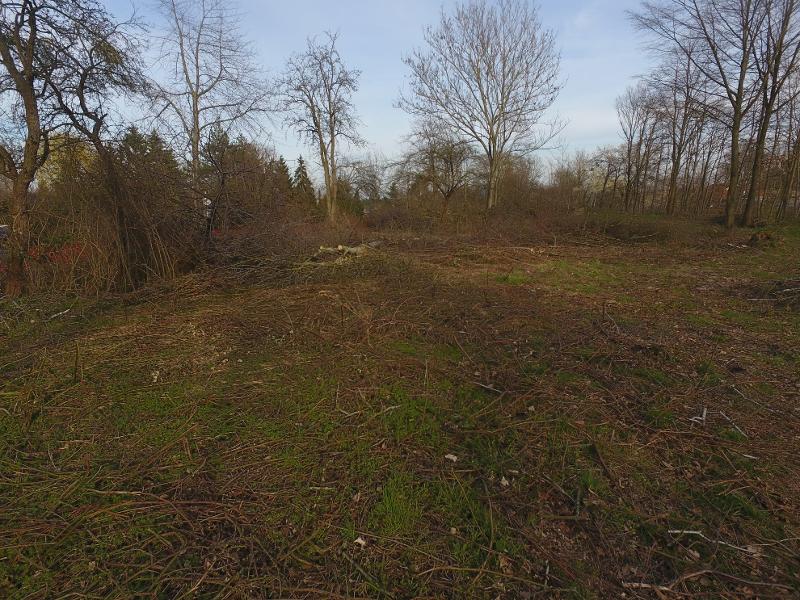 Ansicht Grundst�ck Machern