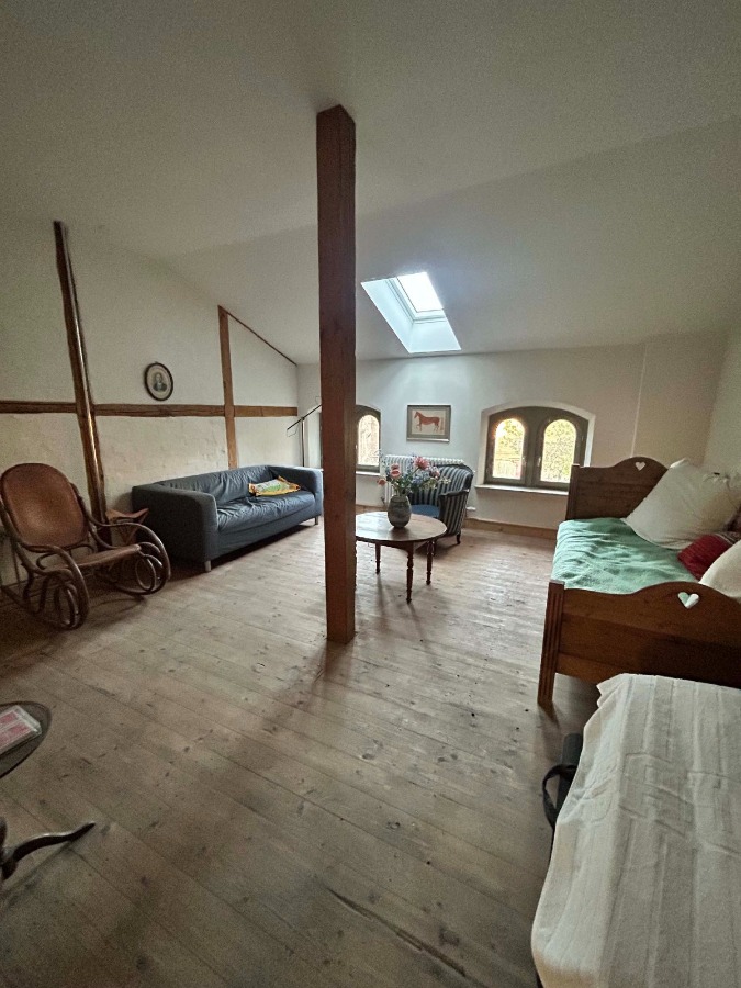 herrenhaus-goebitz-kaufen (35) Villa Elsteraue