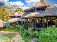 Hauptbild Reetdach Ambiente - Ihr frisch renovierter Traum von Afrika wird wahr!