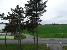 Ansicht Ansicht Kleines Juwel der 30er Jahre -Ruhe und Idylle in Leipzig-Liebertwolkwitz