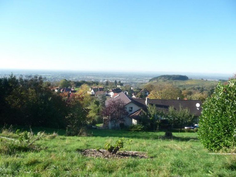 Traumgrundst�ck in B�hl B�hl - Neusatz Wohngrundst�ck Wohntraum am Landschaftsschutzgebiet - Blick nach Frankreich