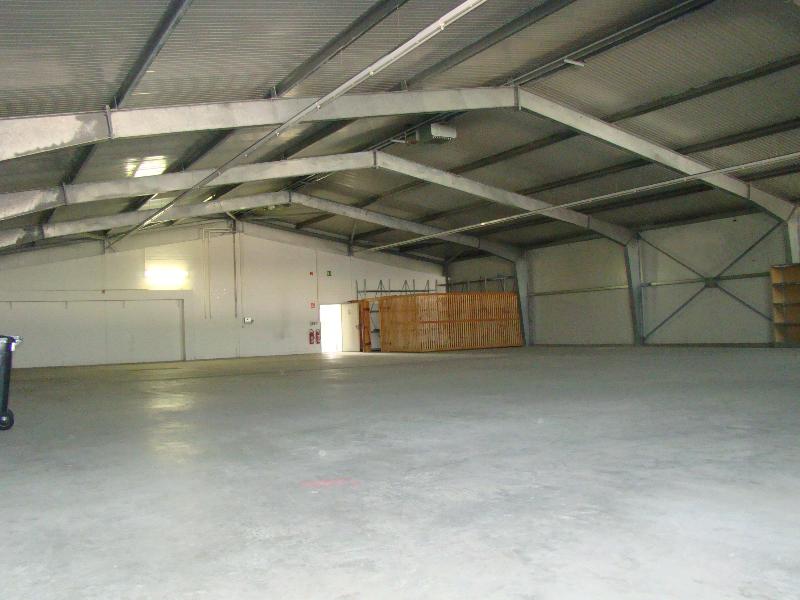 lagerhalle Halle Pei�en