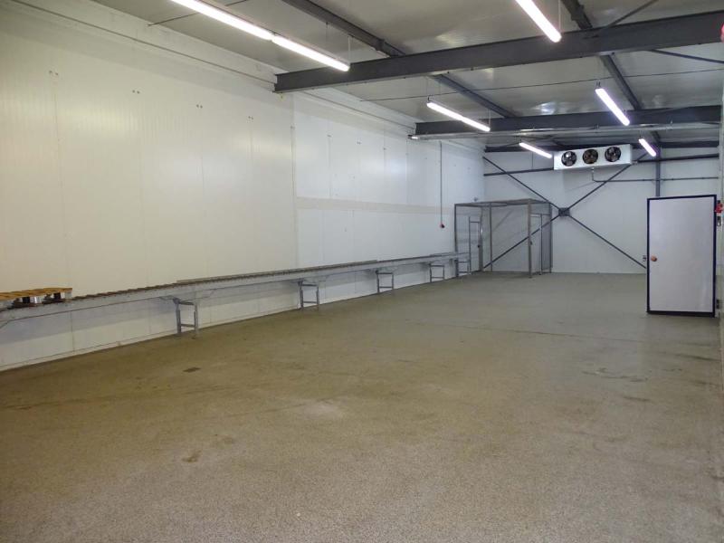 Produktionshalle Halle Leipzig