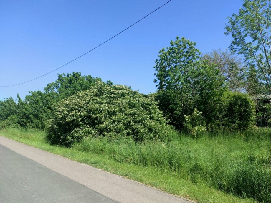 Grundst�ck am alten Bahnhof Wohngrundst�ck Markranst�dt