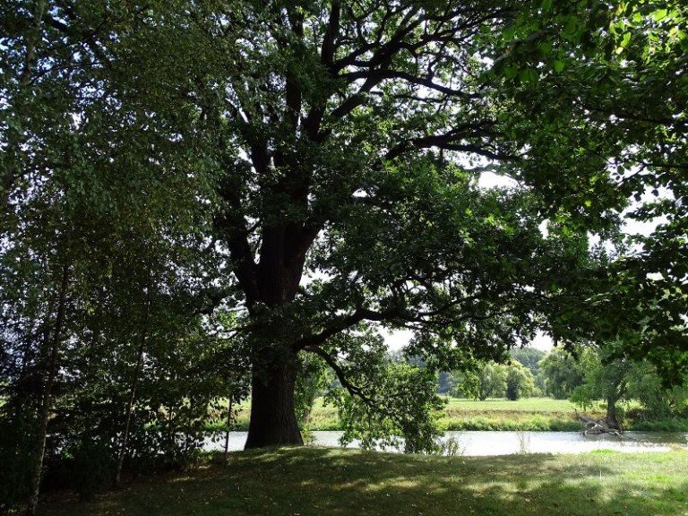 Ansicht Leisnig - Marschwitz Einfamilienhaus Wassergrundst�ck an der Freiberger Mulde - Familienidylle pur