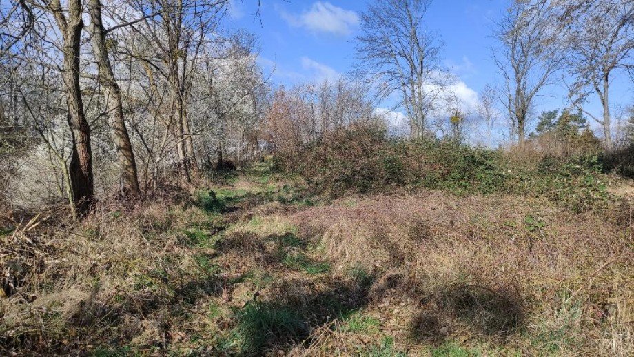 Ansicht Grundst�ck Machern