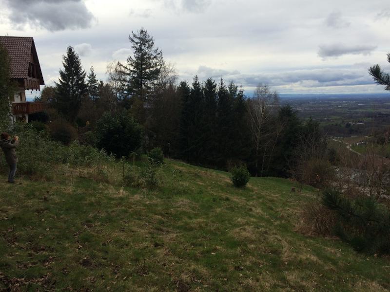 Ansicht Wohngrundst�ck B�hl