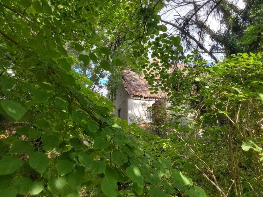 Historische-Wassermuhle-von-Franz-Stockchen-direkt-am-Rippach (8) Landhaus L�tzen