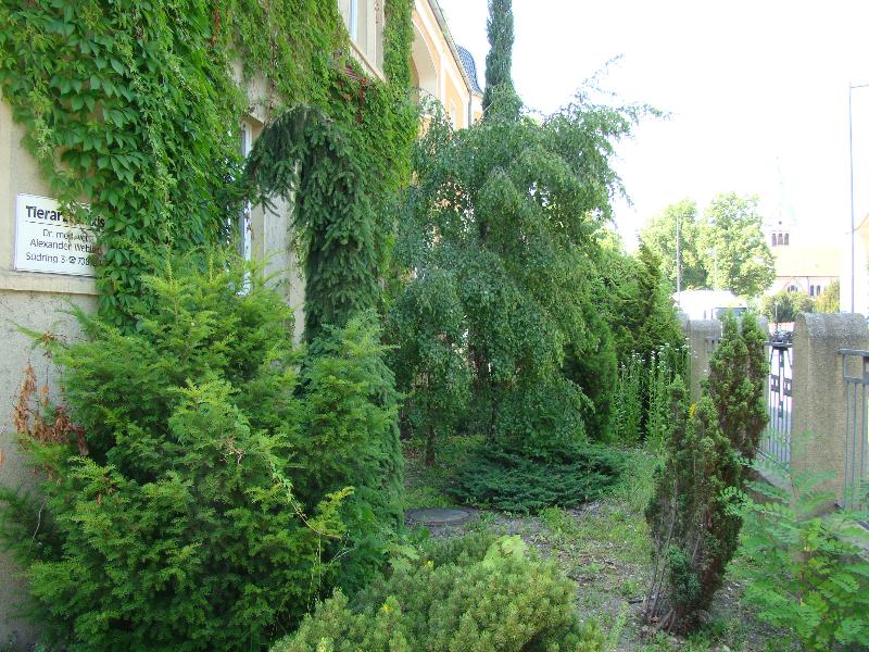 Haus kaufen Villa Torgau