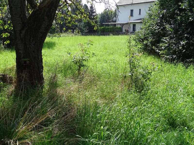 Ansicht Resthof Bad Lausick