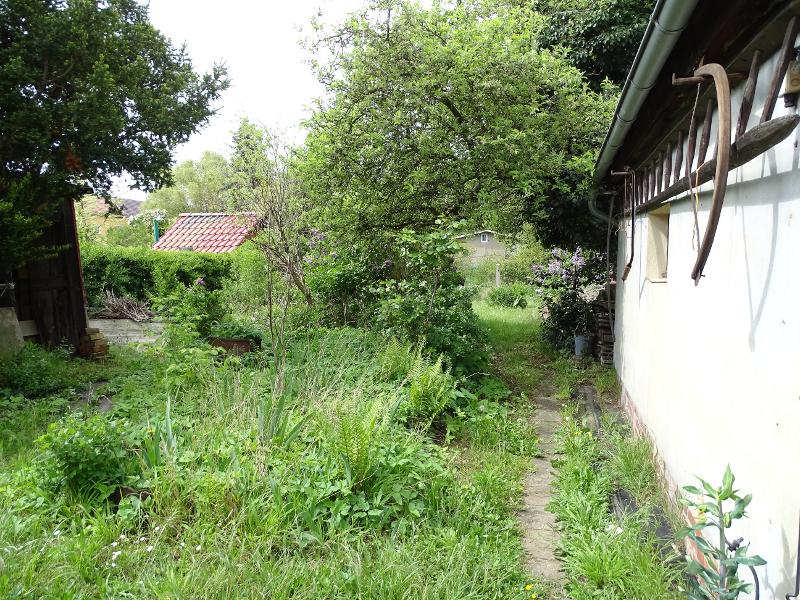 Ansicht Einfamilienhaus Regis-Breitingen