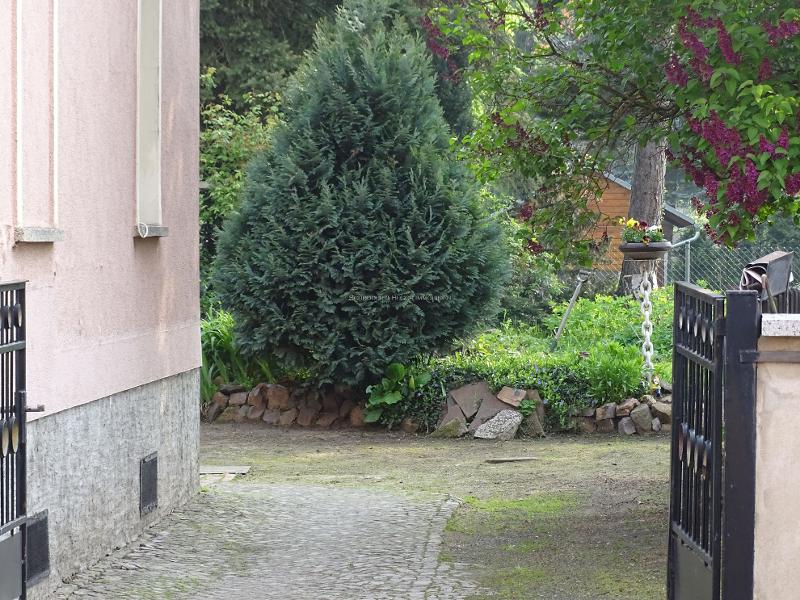 Ansicht Einfamilienhaus Regis-Breitingen